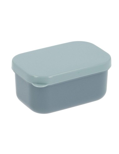 Caja para fruta blue